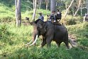 Day 9 - Chiang Mai - Elephant Camp 110